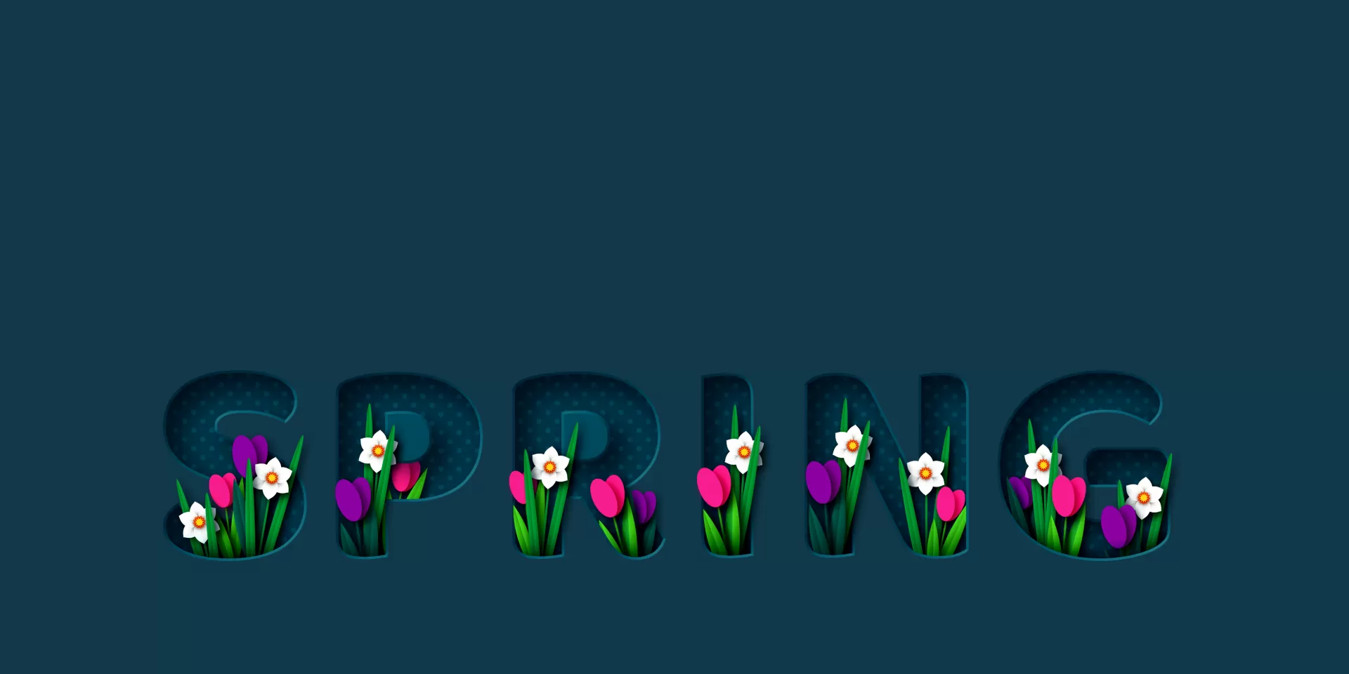 Tớ là Thư_cô sinh viên năm 4 trường TLU